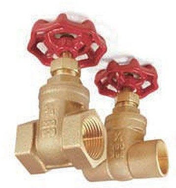 Gate Valve AX-GVT-RI810-1/2