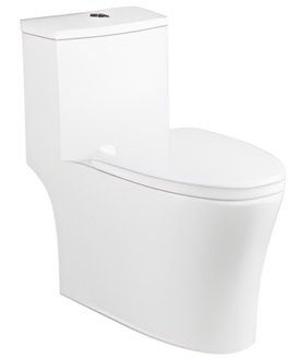 ADA Height, One-Piece, Dual Flush Toilet AX-PTI-1014